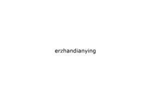 erzhandianying