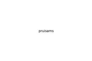 pruisams