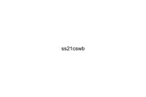 ss21cswb