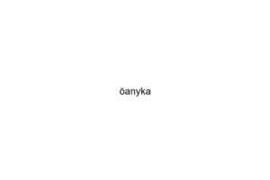 anyka