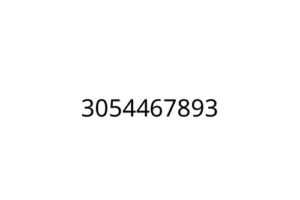 3054467893