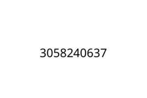 3058240637