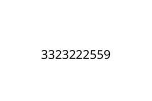 3323222559