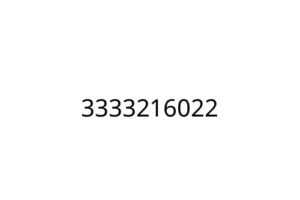 3333216022