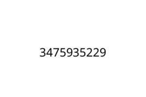 3475935229