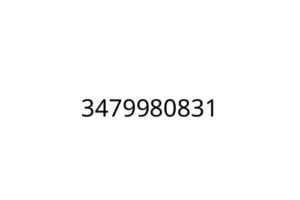 3479980831