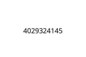 4029324145