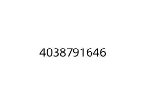4038791646