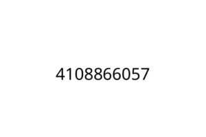4108866057