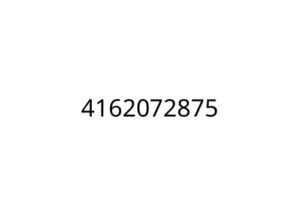 4162072875