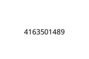 4163501489