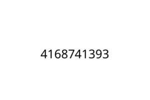 4168741393