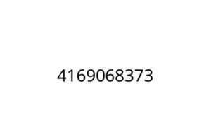 4169068373