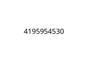 4195954530