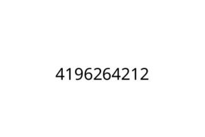 4196264212