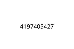 4197405427