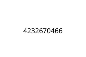 4232670466