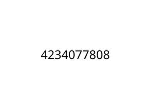 4234077808