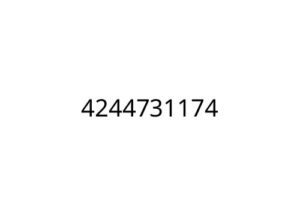 4244731174