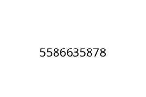 5586635878