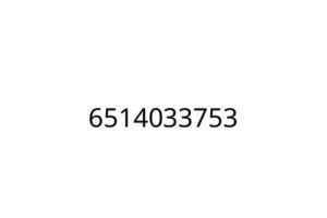 6514033753