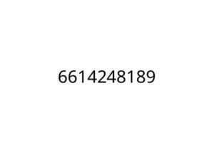 6614248189
