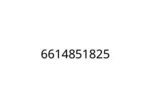 6614851825