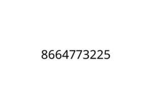 8664773225