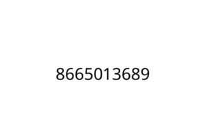 8665013689