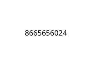 8665656024