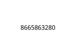 8665863280