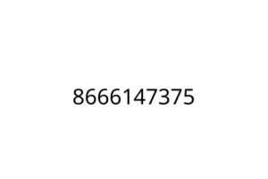 8666147375