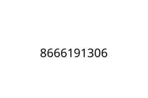 8666191306