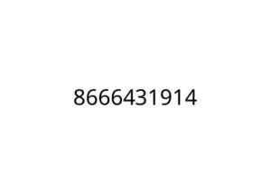 8666431914