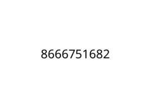 8666751682