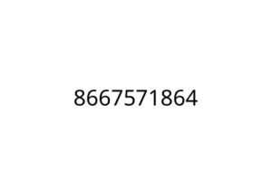 8667571864