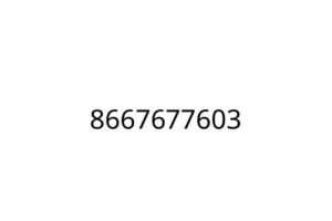 8667677603