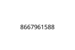 8667961588