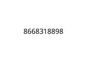 8668318898