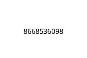 8668536098