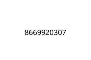 8669920307