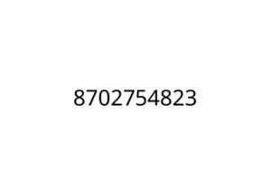 8702754823
