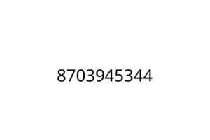8703945344