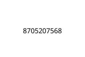 8705207568