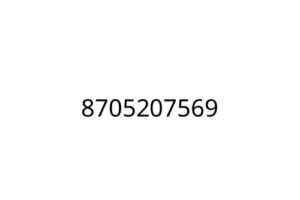 8705207569