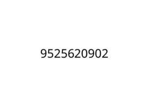 9525620902