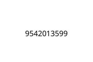 9542013599