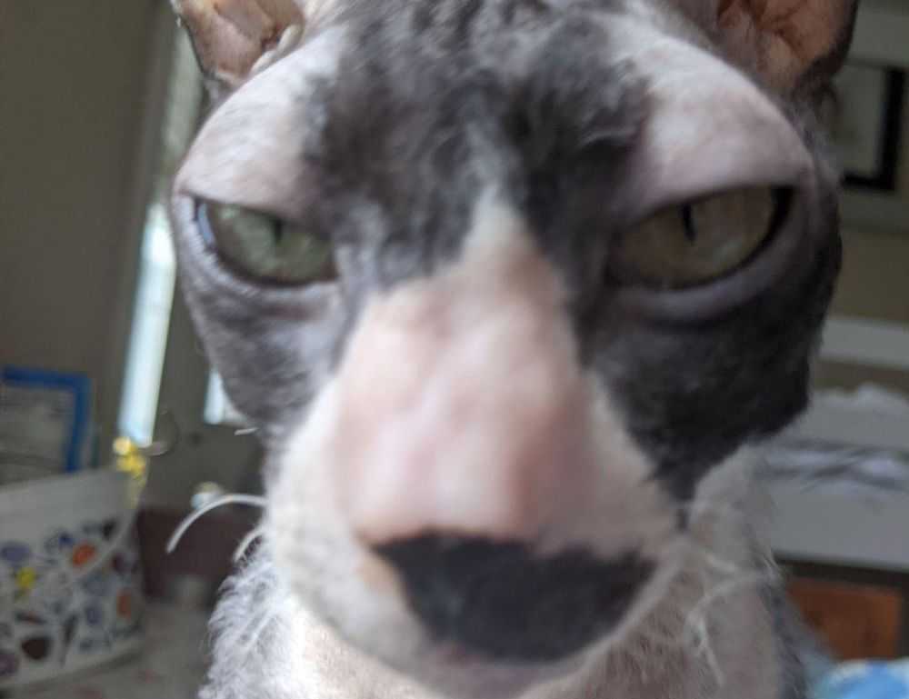 how can gasteromaradical disease be treated