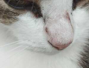 how to turn on uy48lo air conditioner