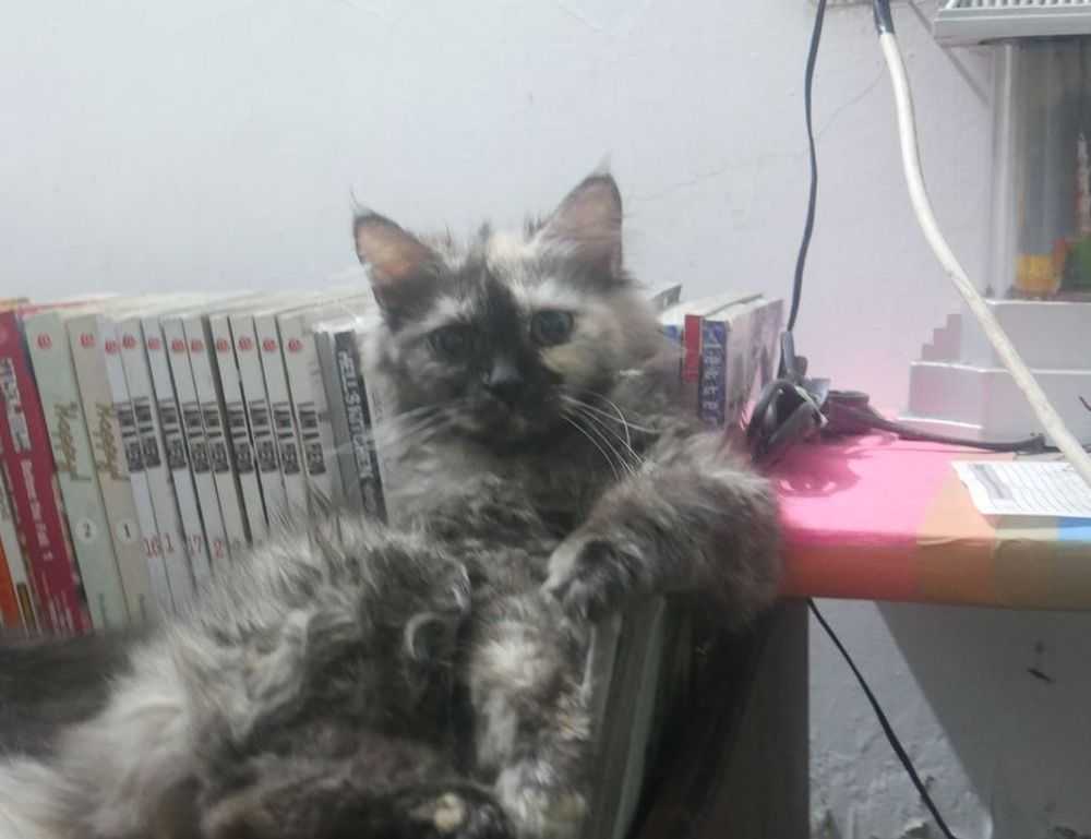 lsit of games munjoff1445